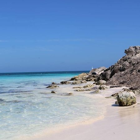 Hermoso Studio Con Alberca Zona Hoteles Cancun Bagian luar foto